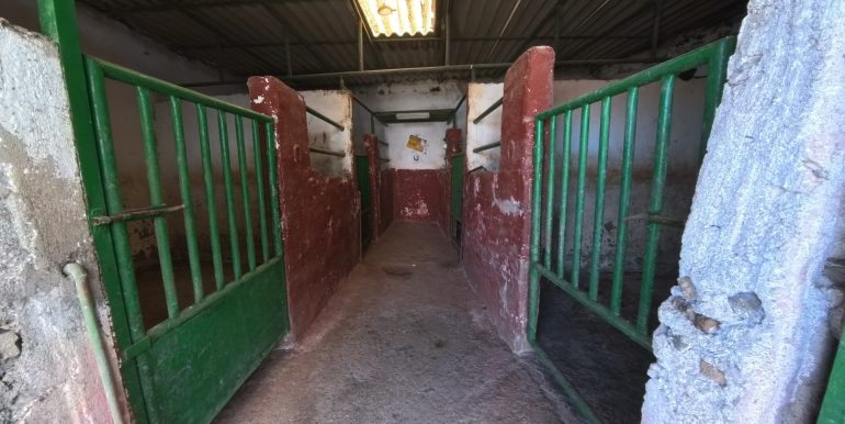 IMG_20250510_111714_00_061