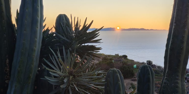 WhatsApp Image 2026-02-20 at 10.41.24 (4)