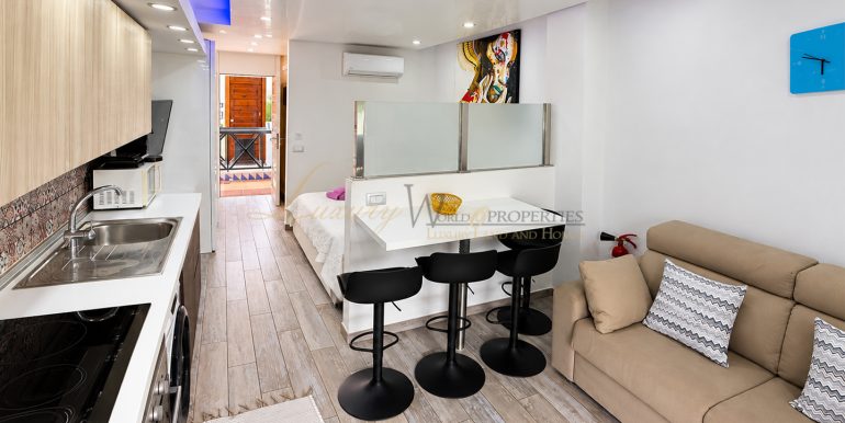 studio-parque-santiago-3-playa-de-las-americas-sea-view-tenerife-south-sur-sale-venta (2)